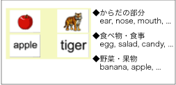 小学生対象のジュニアシリーズに使用されている単語の一例